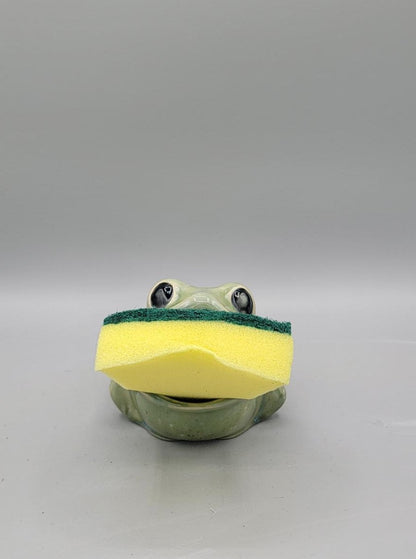 Green Frog Sponge Holder