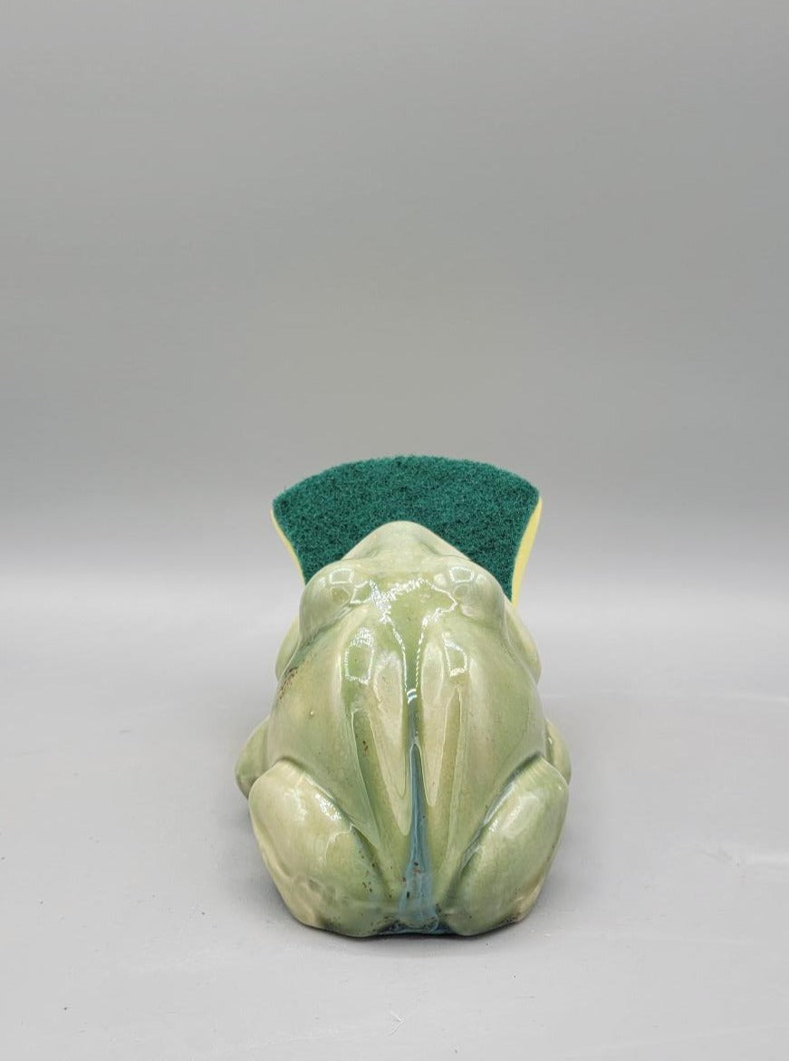 Green Frog Sponge Holder