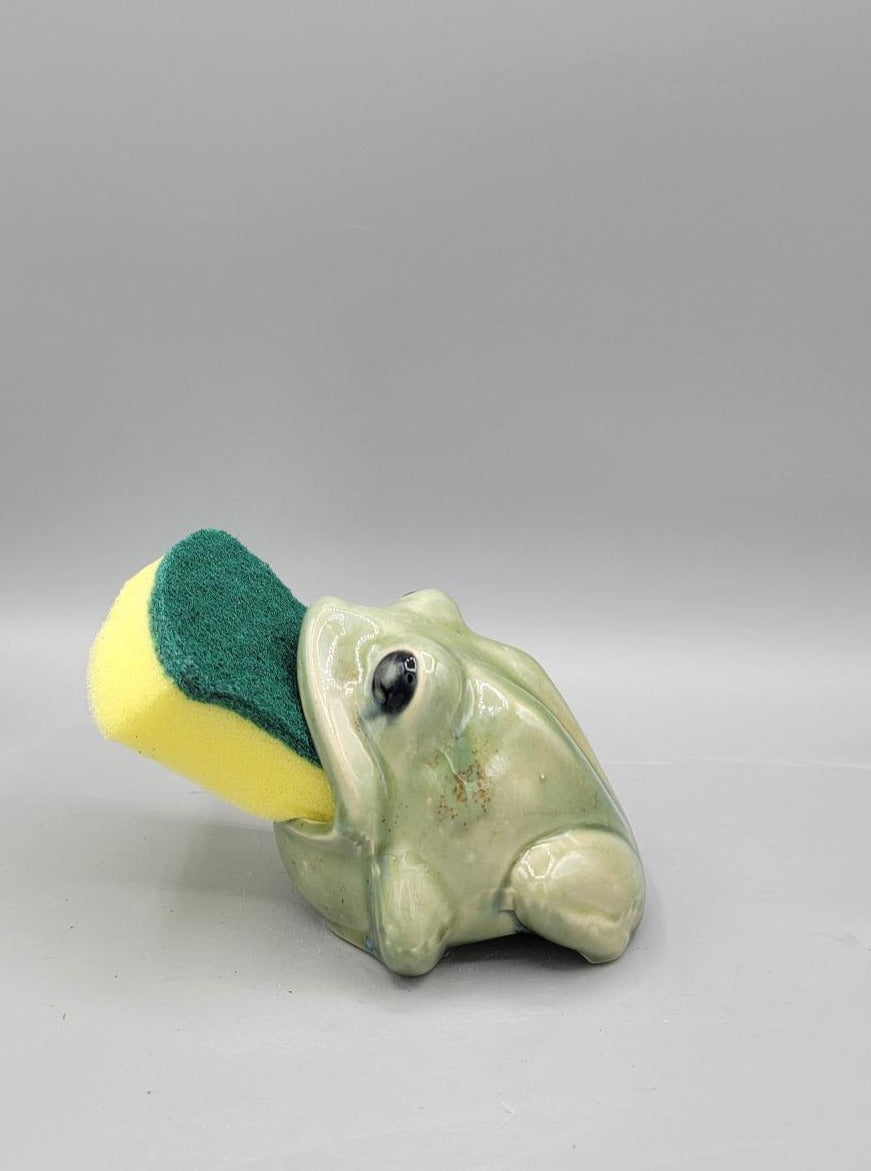 Green Frog Sponge Holder